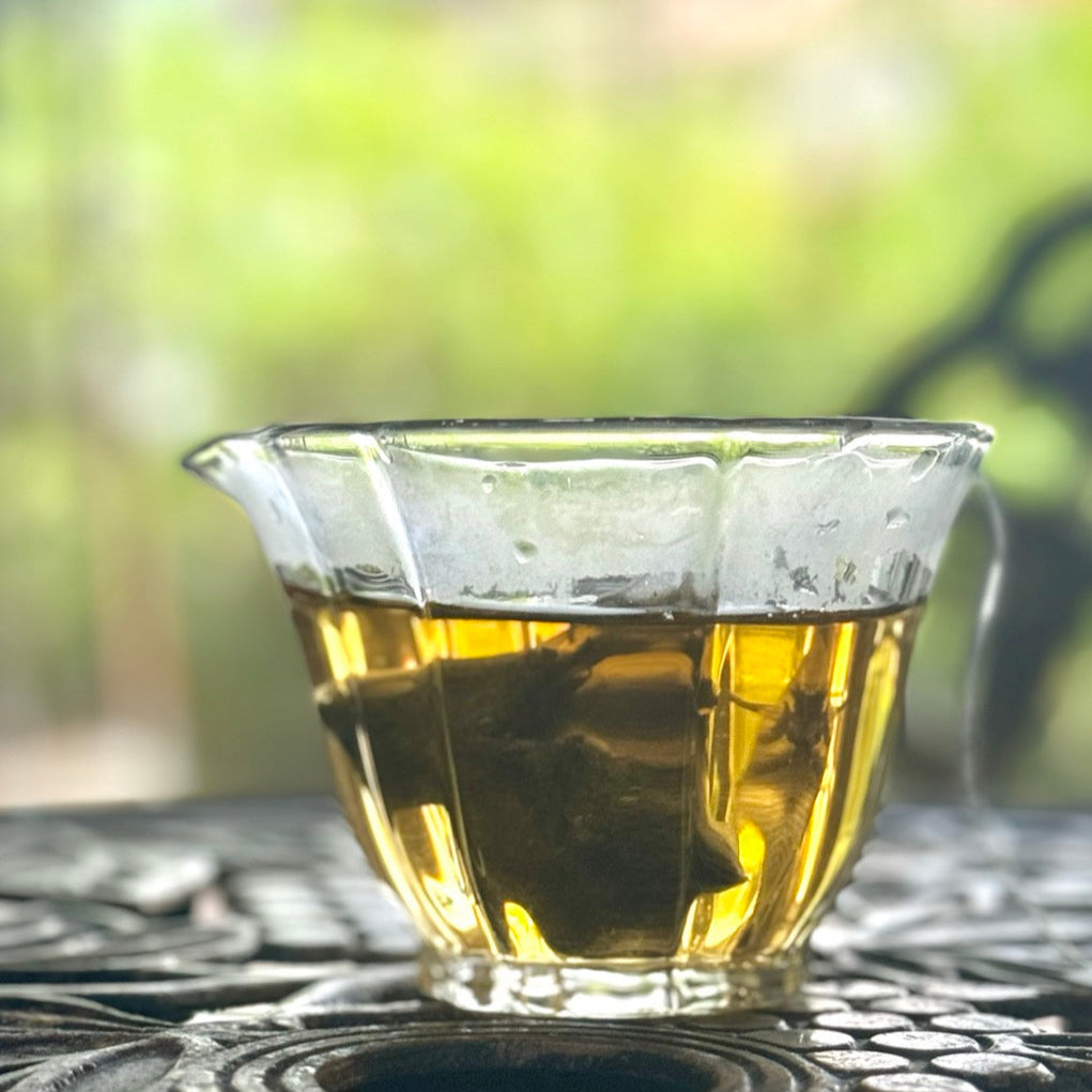 大禹嶺烏龍茶包